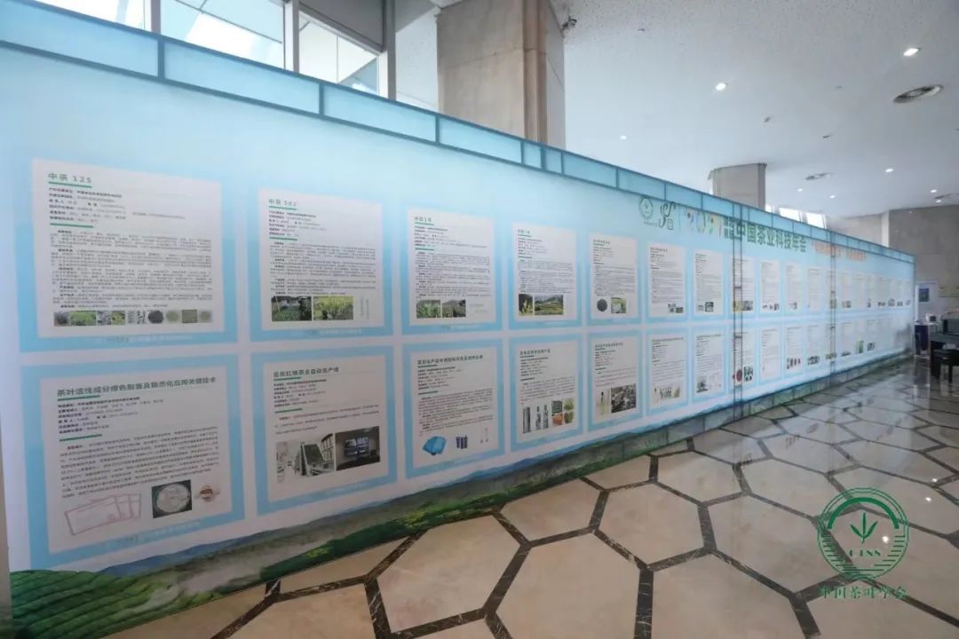 恩施富硒茶营销问题(恩施富硒茶文化的内涵有)-硒宝网