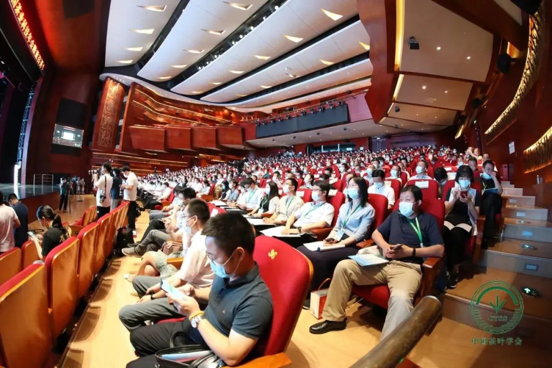 恩施富硒茶营销问题(恩施富硒茶文化的内涵有)-硒宝网