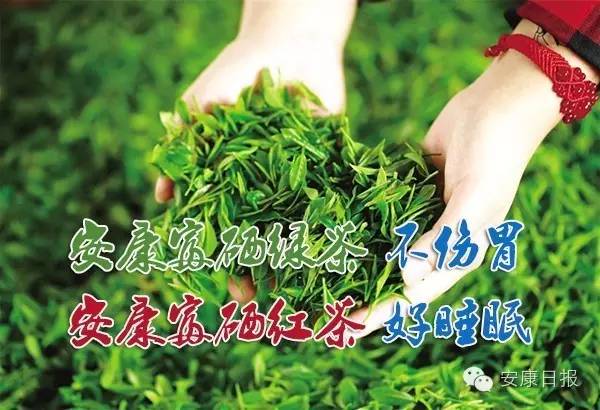 安康富硒茶品质如何（安康富硒茶的功效与作用）-硒宝网
