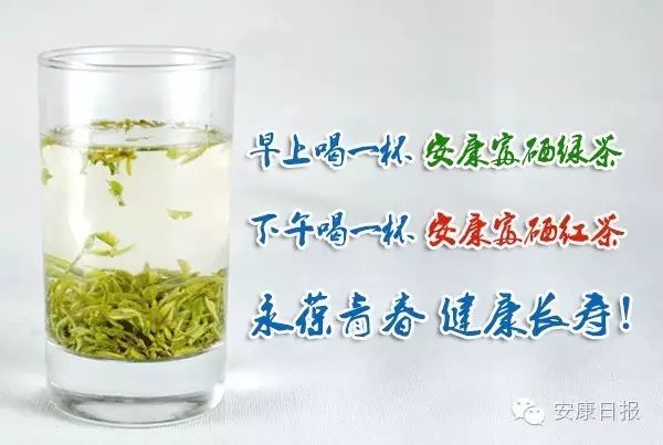 安康富硒茶品质如何（安康富硒茶的功效与作用）-硒宝网