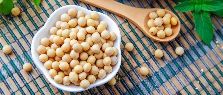 补铁等于补血吗(补血跟补铁有什么区别)-硒宝网