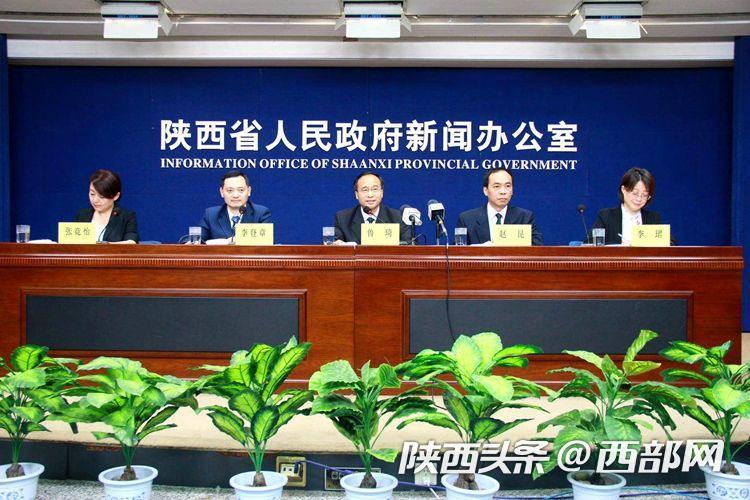 富硒绞股蓝是什么茶(恩施富硒绞股蓝茶多少钱一斤)-硒宝网