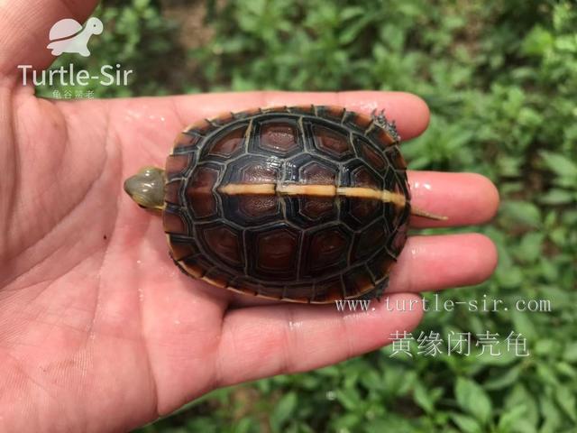 每天晒太阳多久补钙（每天晒补钙太阳会怎么样）-硒宝网