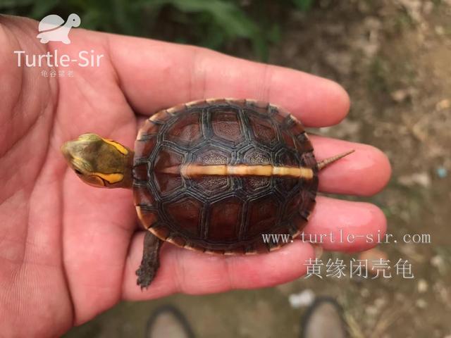 每天晒太阳多久补钙（每天晒补钙太阳会怎么样）-硒宝网