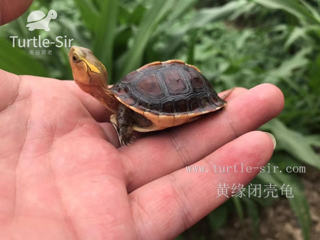 每天晒太阳多久补钙（每天晒补钙太阳会怎么样）-硒宝网