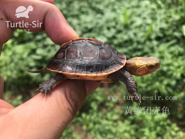 每天晒太阳多久补钙（每天晒补钙太阳会怎么样）-硒宝网