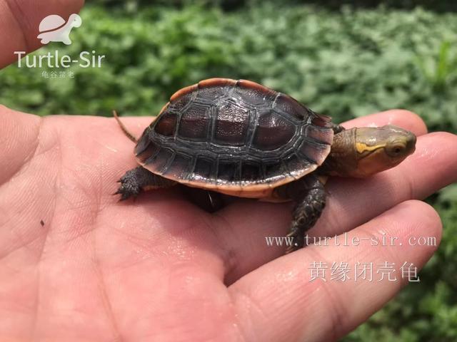 每天晒太阳多久补钙（每天晒补钙太阳会怎么样）-硒宝网