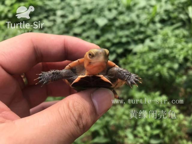 每天晒太阳多久补钙（每天晒补钙太阳会怎么样）-硒宝网