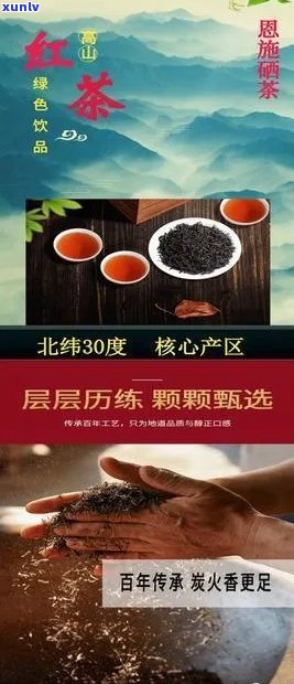 恩施富硒茶什么价格(2019恩施富硒茶)-硒宝网