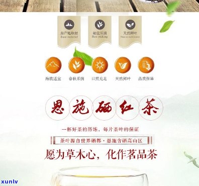 恩施富硒茶什么价格(2019恩施富硒茶)-硒宝网