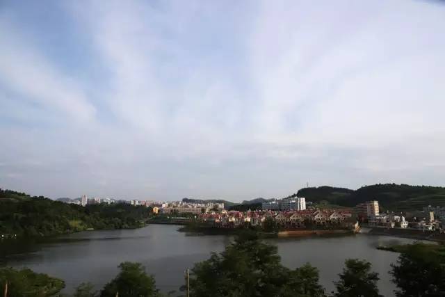 贵州开阳富硒茶价格（开阳富硒白茶多少钱一斤）-硒宝网