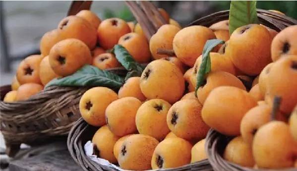 贵州开阳富硒茶价格（开阳富硒白茶多少钱一斤）-硒宝网