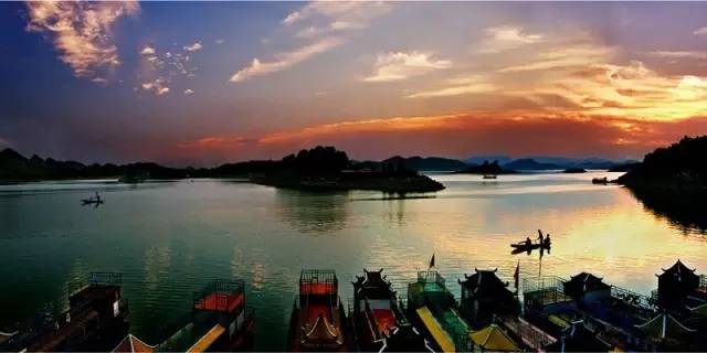 贵州开阳富硒茶价格（开阳富硒白茶多少钱一斤）-硒宝网