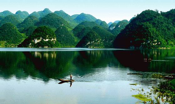 贵州开阳富硒茶价格（开阳富硒白茶多少钱一斤）-硒宝网