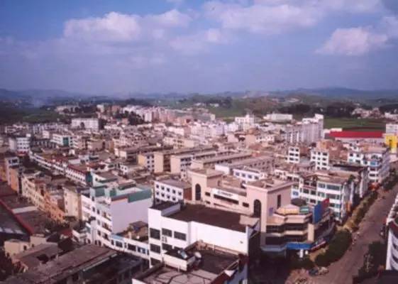 贵州开阳富硒茶价格（开阳富硒白茶多少钱一斤）-硒宝网