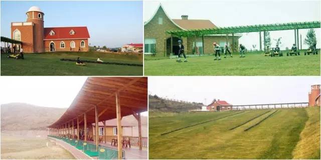 贵州开阳富硒茶价格（开阳富硒白茶多少钱一斤）-硒宝网