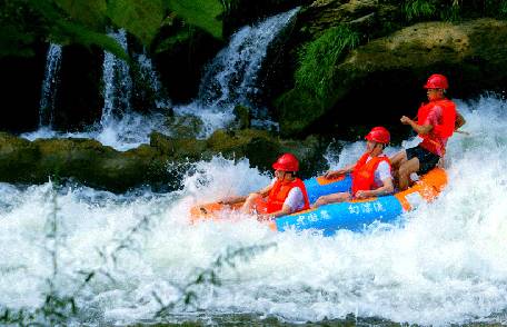 贵州开阳富硒茶价格（开阳富硒白茶多少钱一斤）-硒宝网