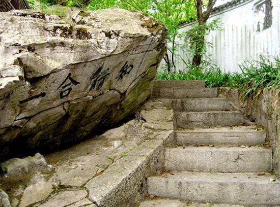 贵州开阳富硒茶价格（开阳富硒白茶多少钱一斤）-硒宝网