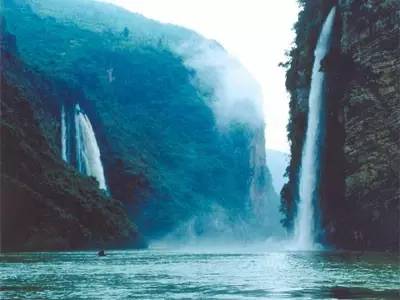 贵州开阳富硒茶价格（开阳富硒白茶多少钱一斤）-硒宝网