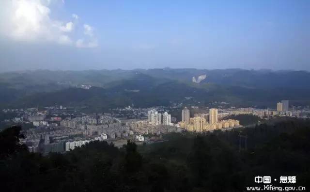 贵州开阳富硒茶价格（开阳富硒白茶多少钱一斤）-硒宝网