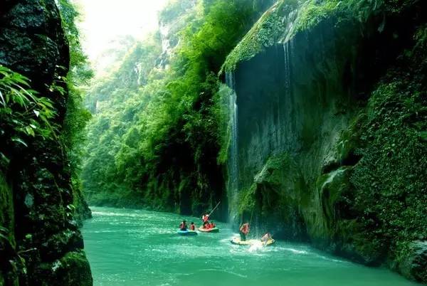 贵州开阳富硒茶价格（开阳富硒白茶多少钱一斤）-硒宝网