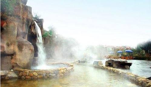 贵州开阳富硒茶价格（开阳富硒白茶多少钱一斤）-硒宝网