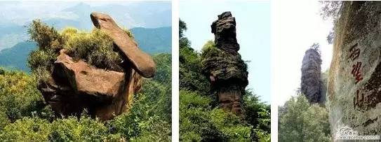 贵州开阳富硒茶价格（开阳富硒白茶多少钱一斤）-硒宝网