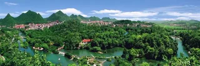 贵州开阳富硒茶价格（开阳富硒白茶多少钱一斤）-硒宝网