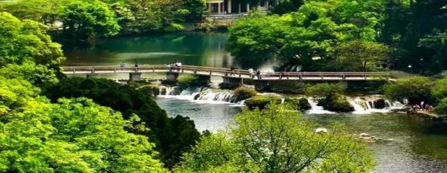 贵州开阳富硒茶价格（开阳富硒白茶多少钱一斤）-硒宝网