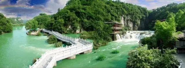 贵州开阳富硒茶价格（开阳富硒白茶多少钱一斤）-硒宝网