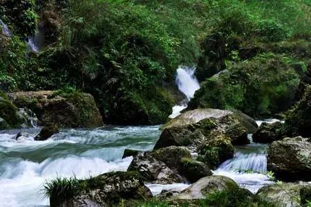 贵州开阳富硒茶价格（开阳富硒白茶多少钱一斤）-硒宝网