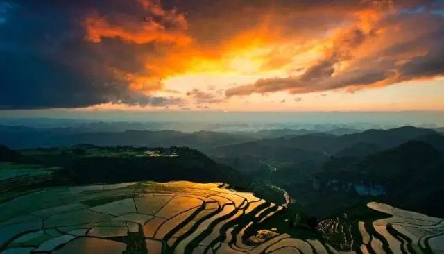 贵州开阳富硒茶价格（开阳富硒白茶多少钱一斤）-硒宝网