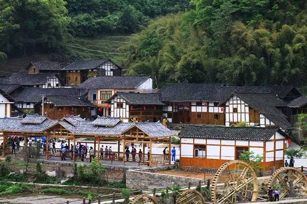 贵州开阳富硒茶价格（开阳富硒白茶多少钱一斤）-硒宝网