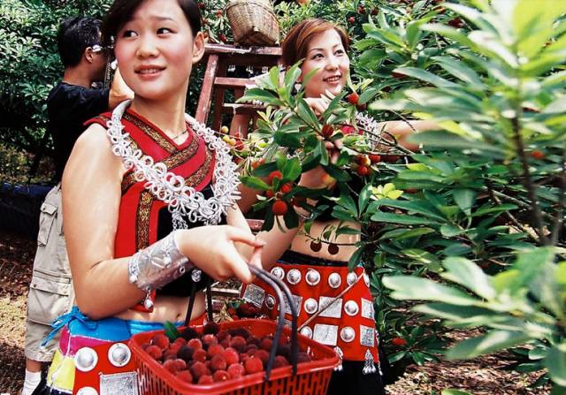 贵州开阳富硒茶价格（开阳富硒白茶多少钱一斤）-硒宝网