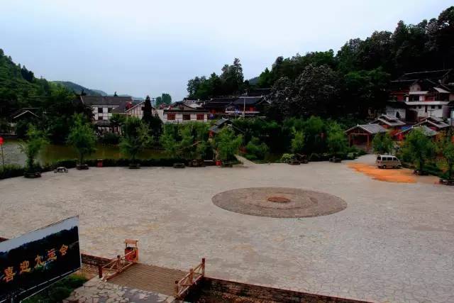 贵州开阳富硒茶价格（开阳富硒白茶多少钱一斤）-硒宝网