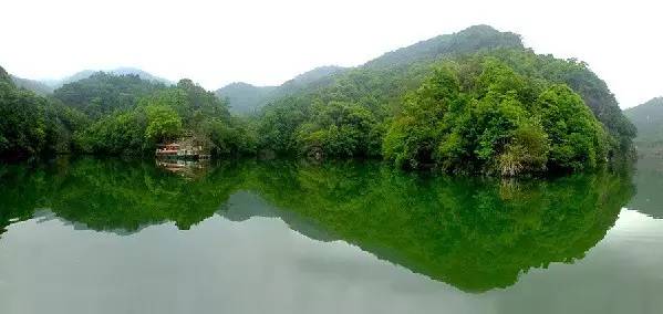 贵州开阳富硒茶价格（开阳富硒白茶多少钱一斤）-硒宝网