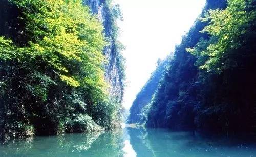 贵州开阳富硒茶价格（开阳富硒白茶多少钱一斤）-硒宝网