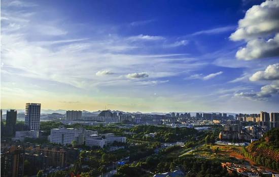 贵州开阳富硒茶价格（开阳富硒白茶多少钱一斤）-硒宝网