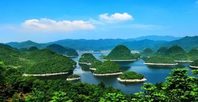 贵州开阳富硒茶价格（开阳富硒白茶多少钱一斤）-硒宝网