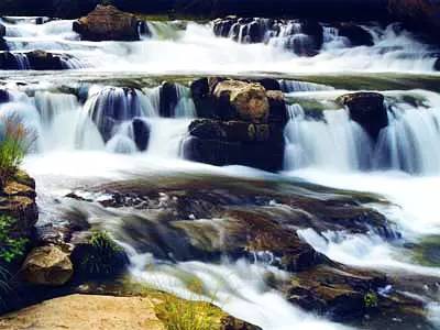 贵州开阳富硒茶价格（开阳富硒白茶多少钱一斤）-硒宝网