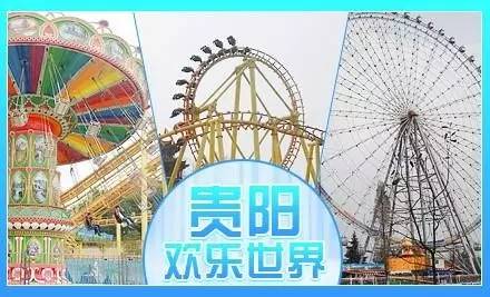 贵州开阳富硒茶价格（开阳富硒白茶多少钱一斤）-硒宝网