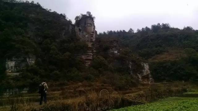 贵州开阳富硒茶价格（开阳富硒白茶多少钱一斤）-硒宝网