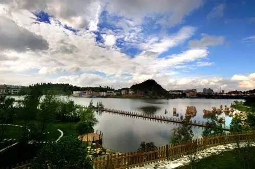 贵州开阳富硒茶价格（开阳富硒白茶多少钱一斤）-硒宝网