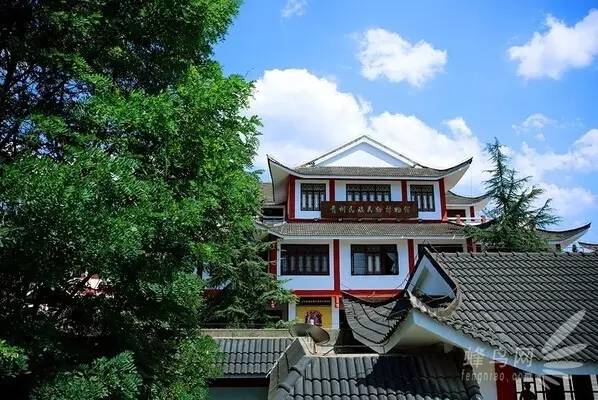 贵州开阳富硒茶价格（开阳富硒白茶多少钱一斤）-硒宝网