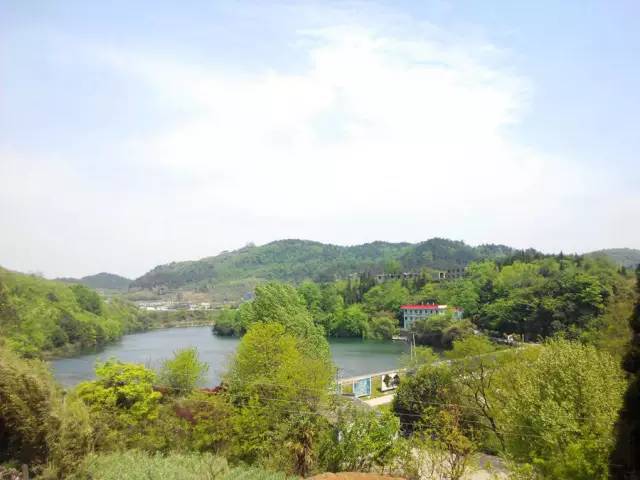 贵州开阳富硒茶价格（开阳富硒白茶多少钱一斤）-硒宝网