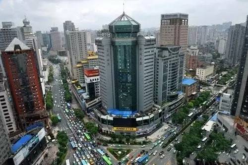 贵州开阳富硒茶价格（开阳富硒白茶多少钱一斤）-硒宝网