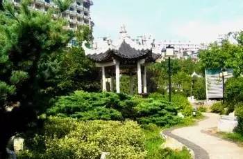 贵州开阳富硒茶价格（开阳富硒白茶多少钱一斤）-硒宝网