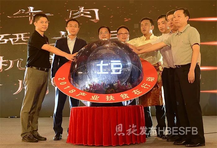 恩施富硒茶哪家好吃（恩施富硒茶）-硒宝网