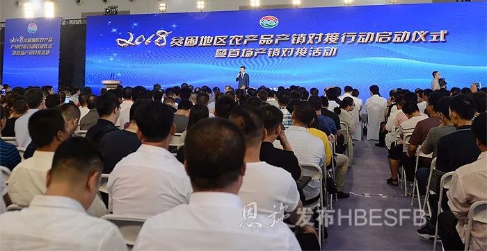 恩施富硒茶哪家好吃（恩施富硒茶）-硒宝网