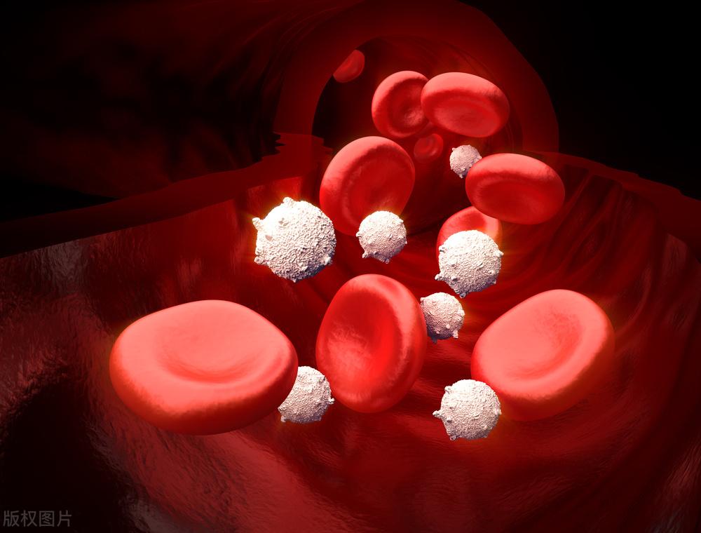 什么时候补铁(婴儿什么时候补铁)-硒宝网